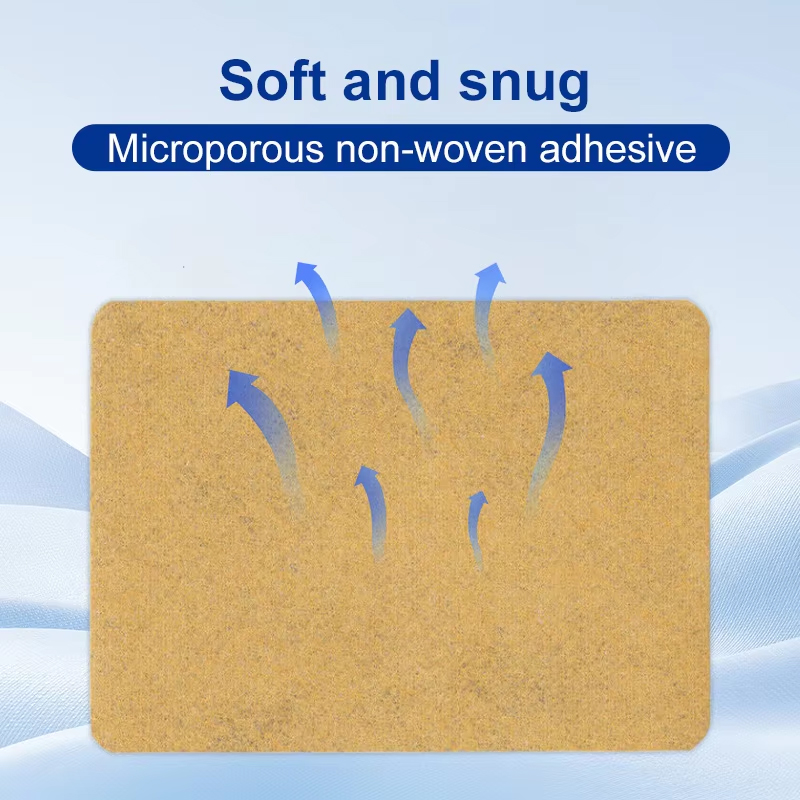 Natural Moxibustion Patch for Dispelling Dampness from the Waist and Abdomen Natural Moxibustion Patch for Dispelling Dampness from the Waist and Abdomen