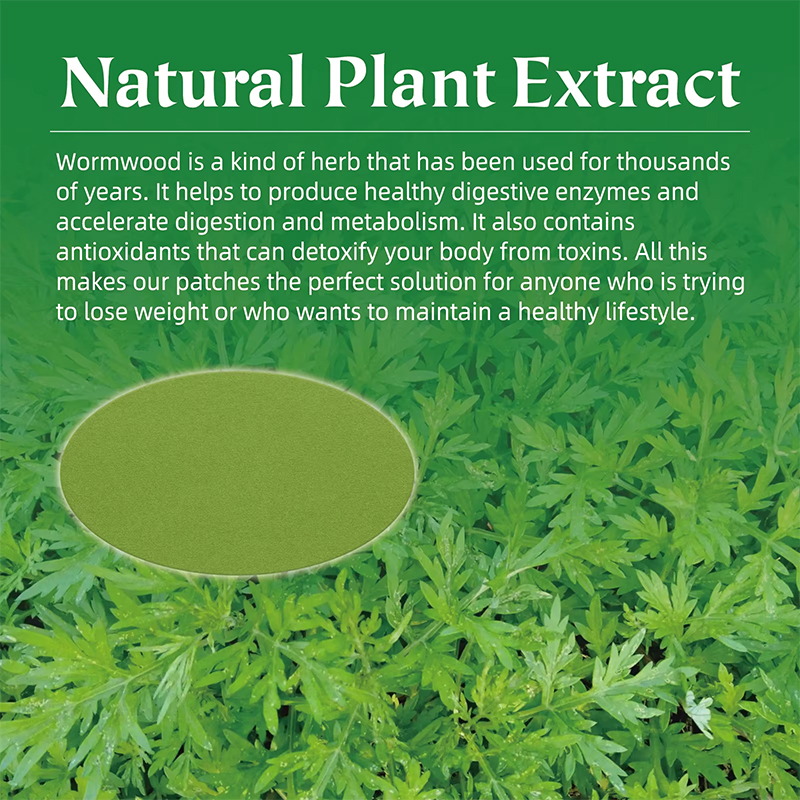 Natural Mugwort Navel Patch for Warming Moxibustion and Dampness Removal Natural Mugwort Navel Patch for Warming Moxibustion and Dampness Removal