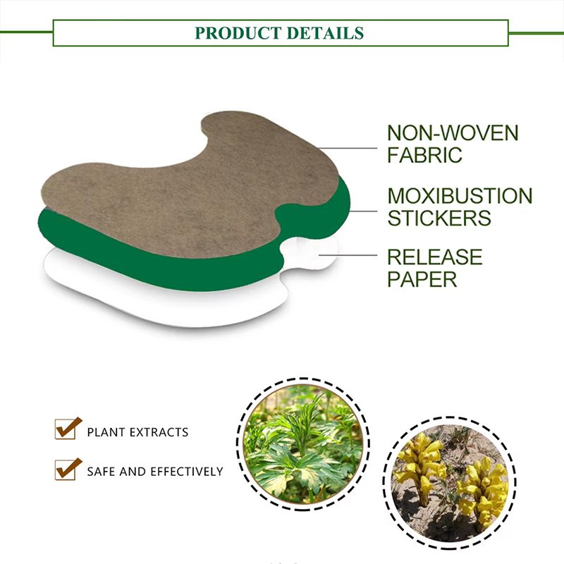 Aromatic Dampness-Resolving and Pain-Relieving Dampness-Expelling Patch Aromatic Dampness-Resolving and Pain-Relieving Dampness-Expelling Patch