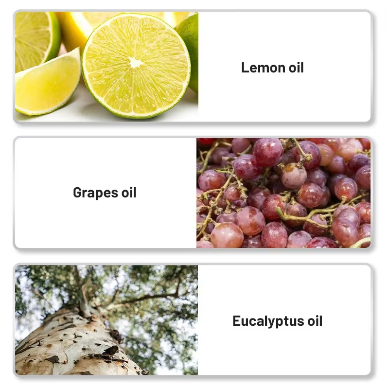 Stem Cell Firming Massage Oil Stem Cell Firming Massage Oil