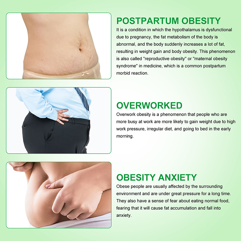 Fat-Metabolizing Slimming Patch Fat-Metabolizing Slimming Patch
