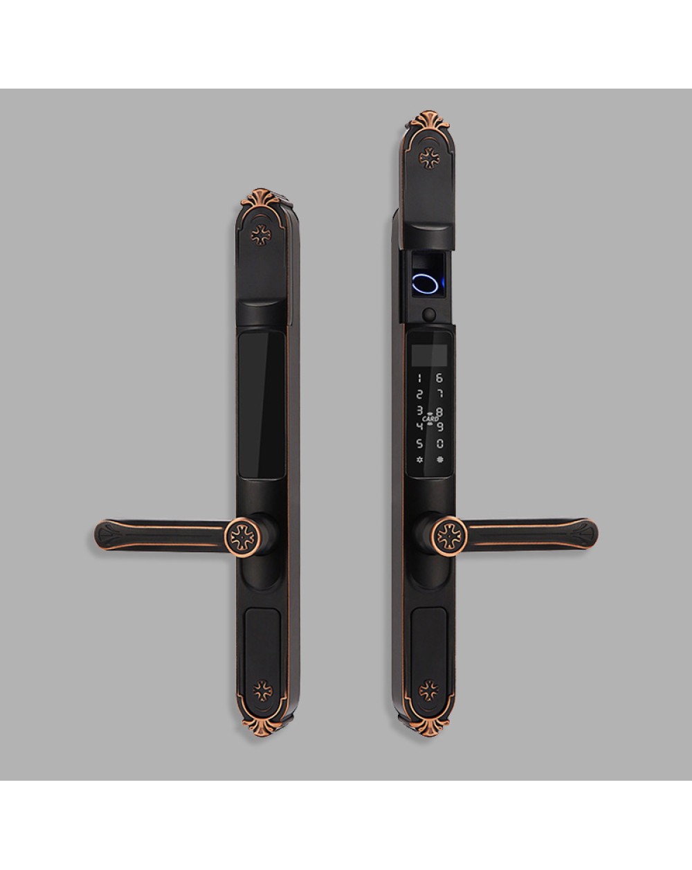 Courtyard outdoor fingerprint electronic door lock