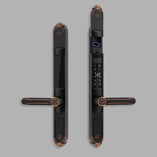 Courtyard outdoor fingerprint electronic door lock