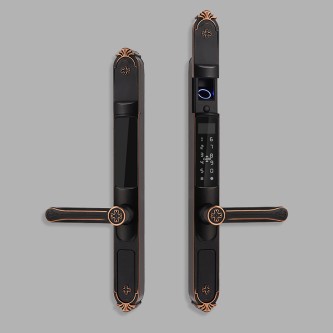 Courtyard outdoor fingerprint electronic door lock