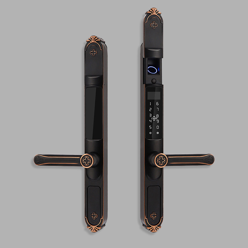 Courtyard outdoor fingerprint electronic door lock