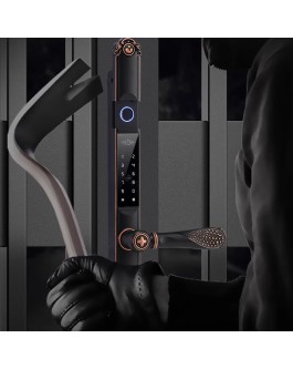 Courtyard outdoor fingerprint electronic door lock