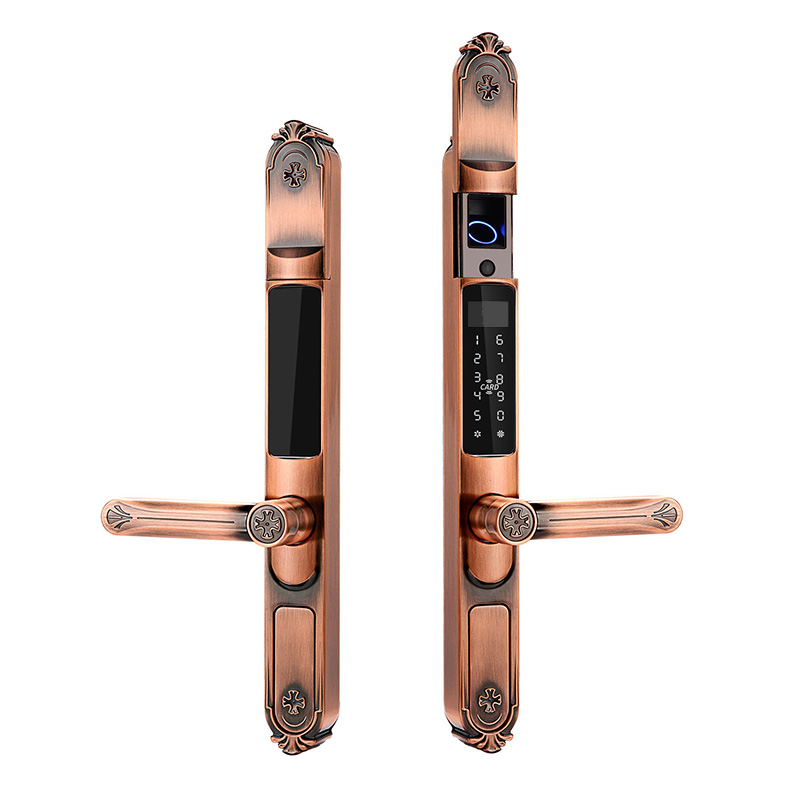 Courtyard outdoor fingerprint electronic door lock