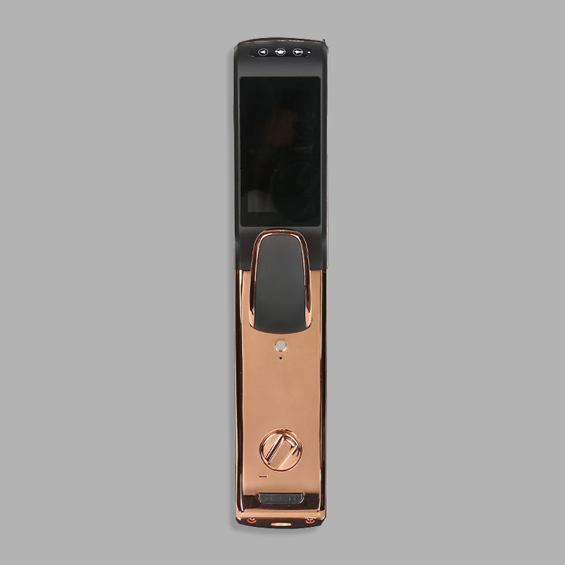 Luxury smart fingerprint electronic door lock