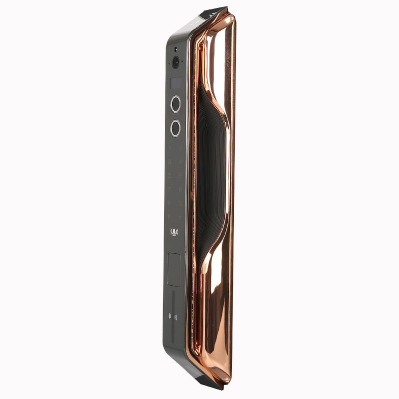 Luxury smart fingerprint electronic door lock