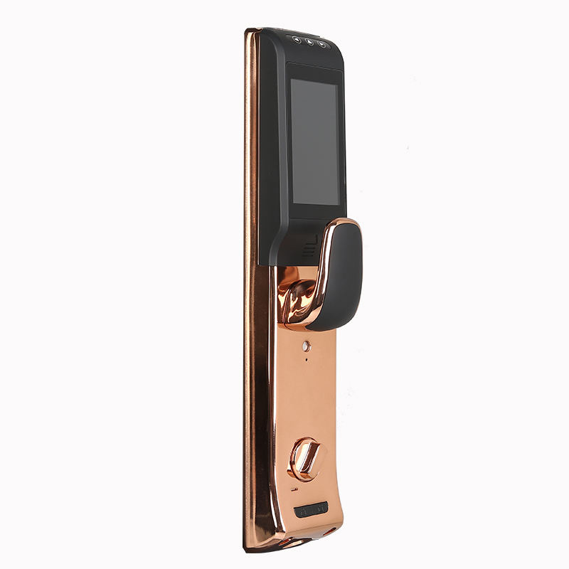 Luxury smart fingerprint electronic door lock