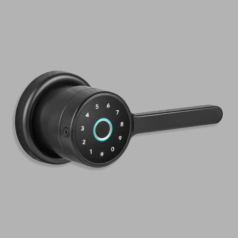 Simple home fingerprint electronic door lock