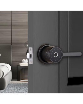 Simple home fingerprint electronic door lock