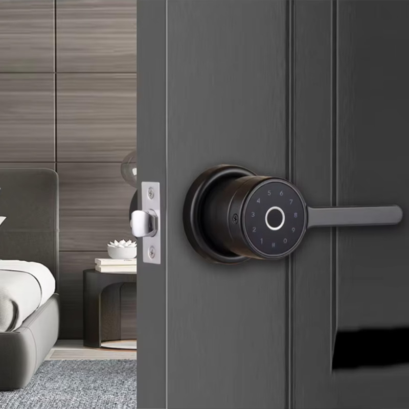 Simple home fingerprint electronic door lock