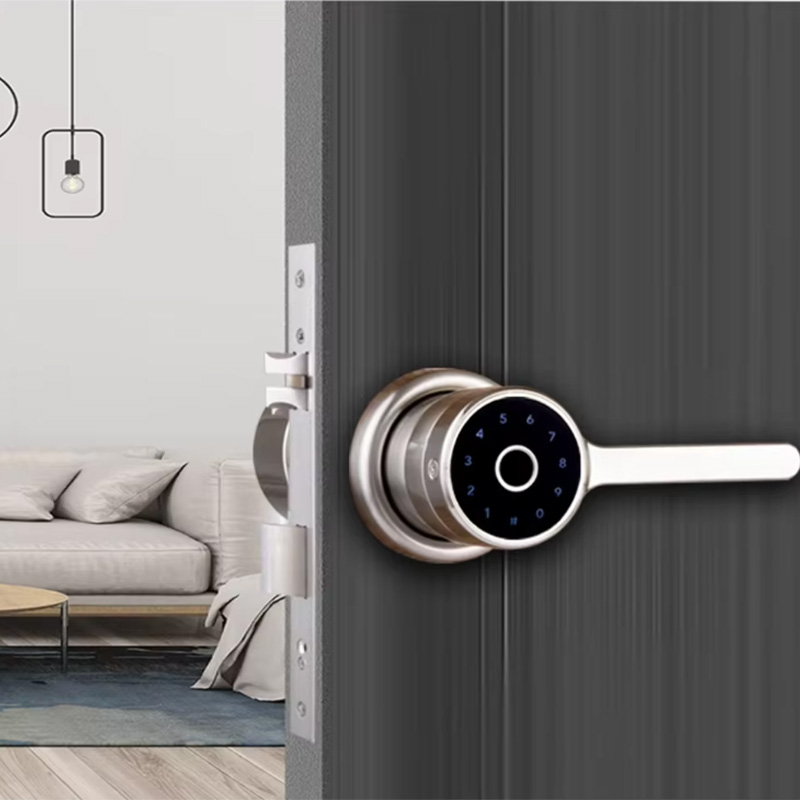 Simple home fingerprint electronic door lock