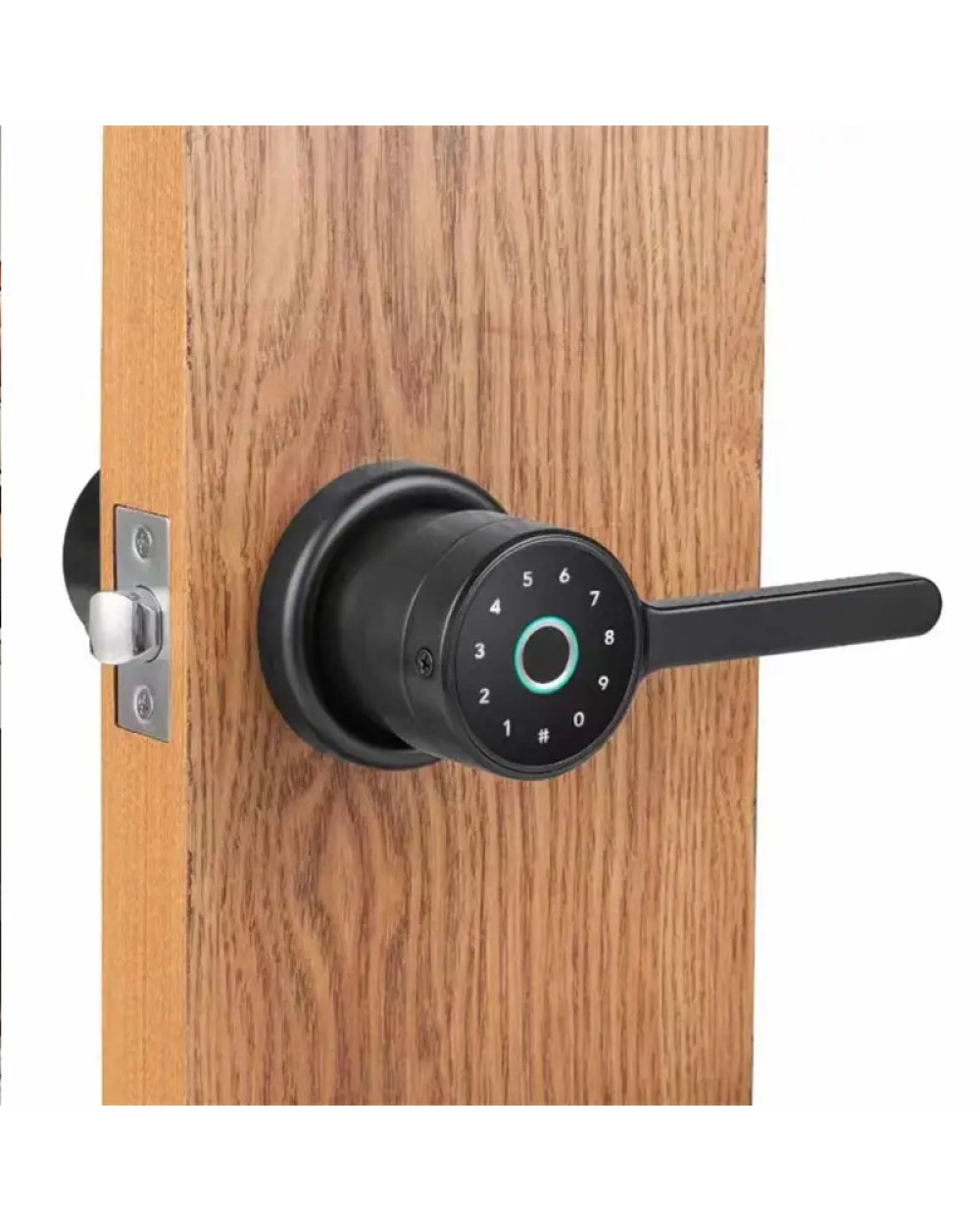 Simple home fingerprint electronic door lock