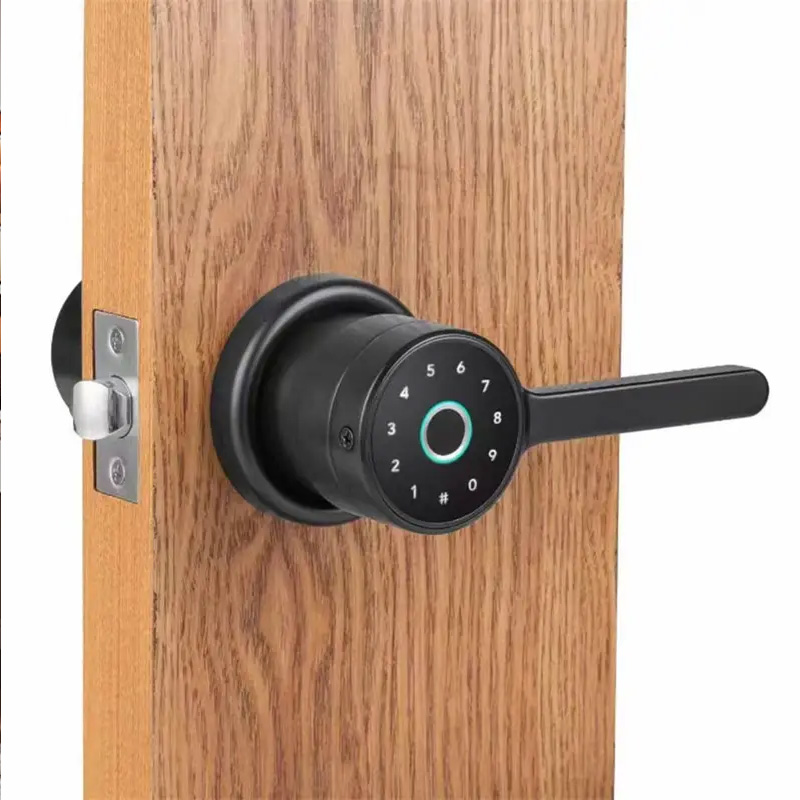 Simple home fingerprint electronic door lock