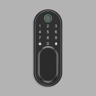 Smart home fingerprint electronic door lock