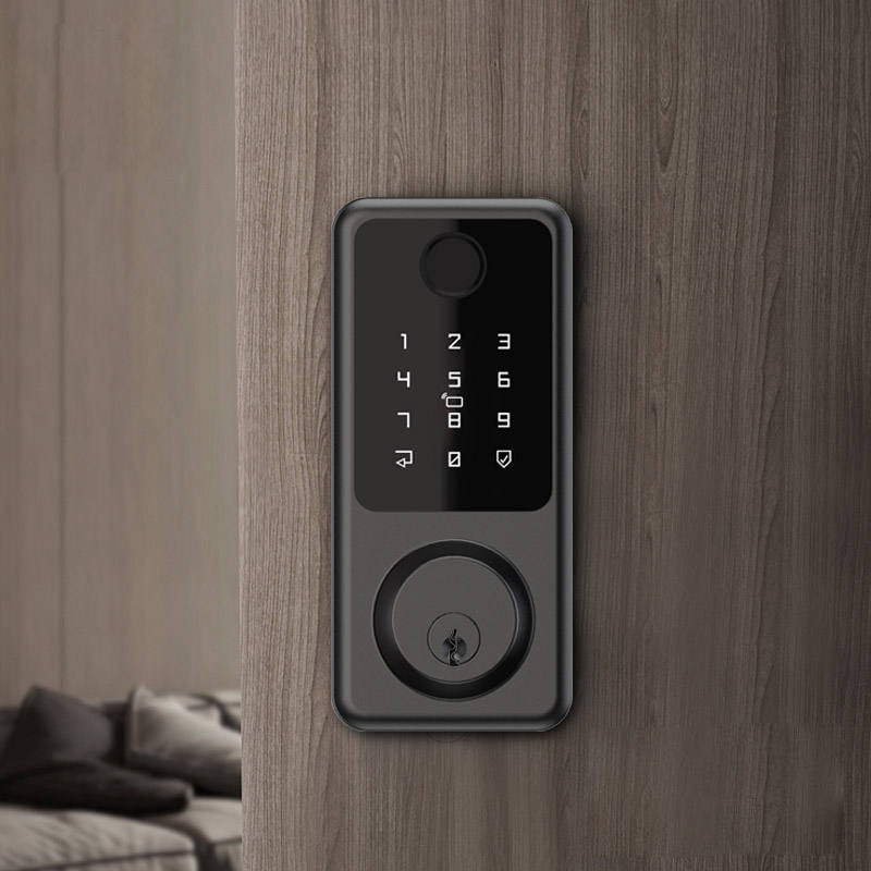 Black smart fingerprint electronic door lock
