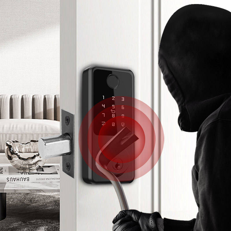 Black smart fingerprint electronic door lock