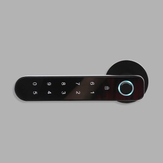 Fast unlocking password electronic door lock
