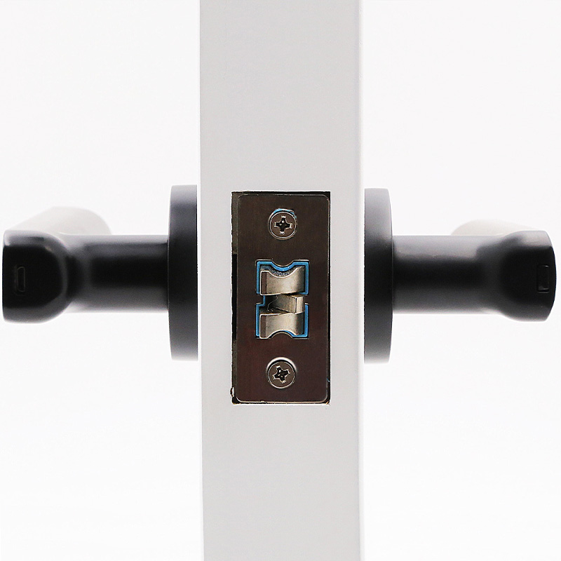 Fast unlocking password electronic door lock