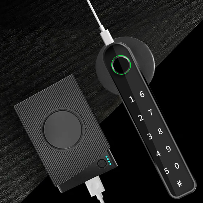 Fast unlocking password electronic door lock