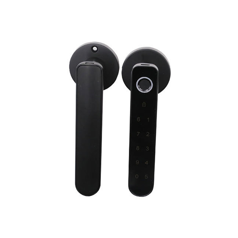 Fast unlocking password electronic door lock