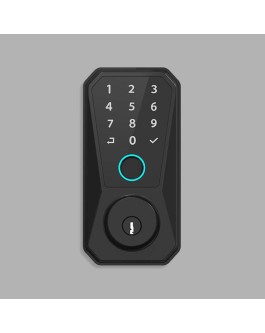 Minimalist design password electronic door lock