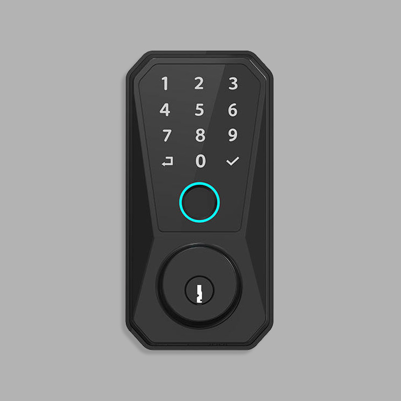 Minimalist design password electronic door lock