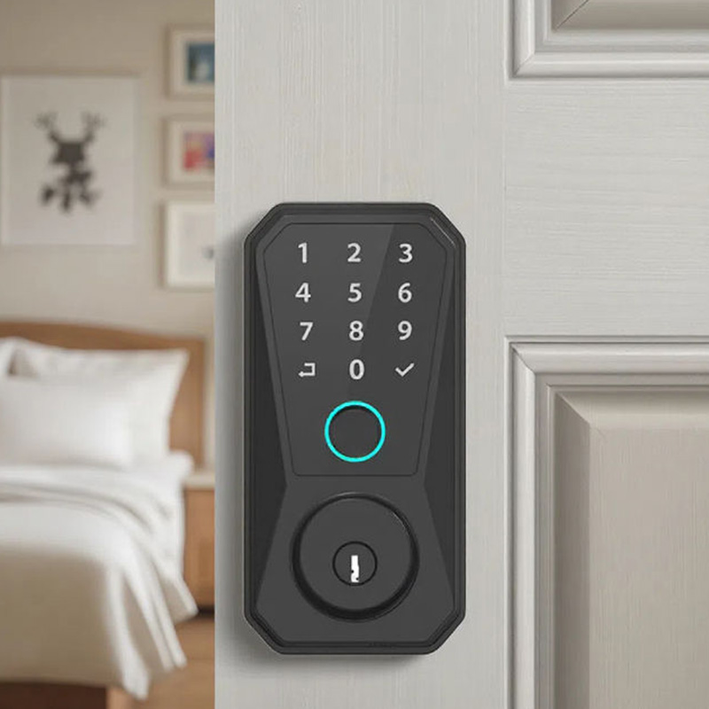Minimalist design password electronic door lock