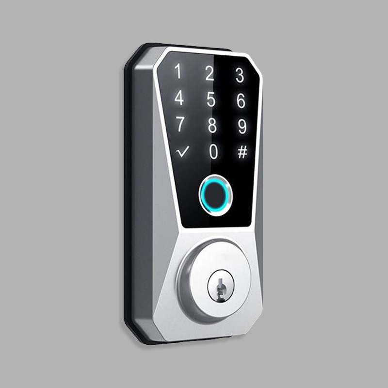 Minimalist design password electronic door lock