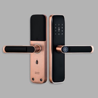 Smart home password electronic door lock