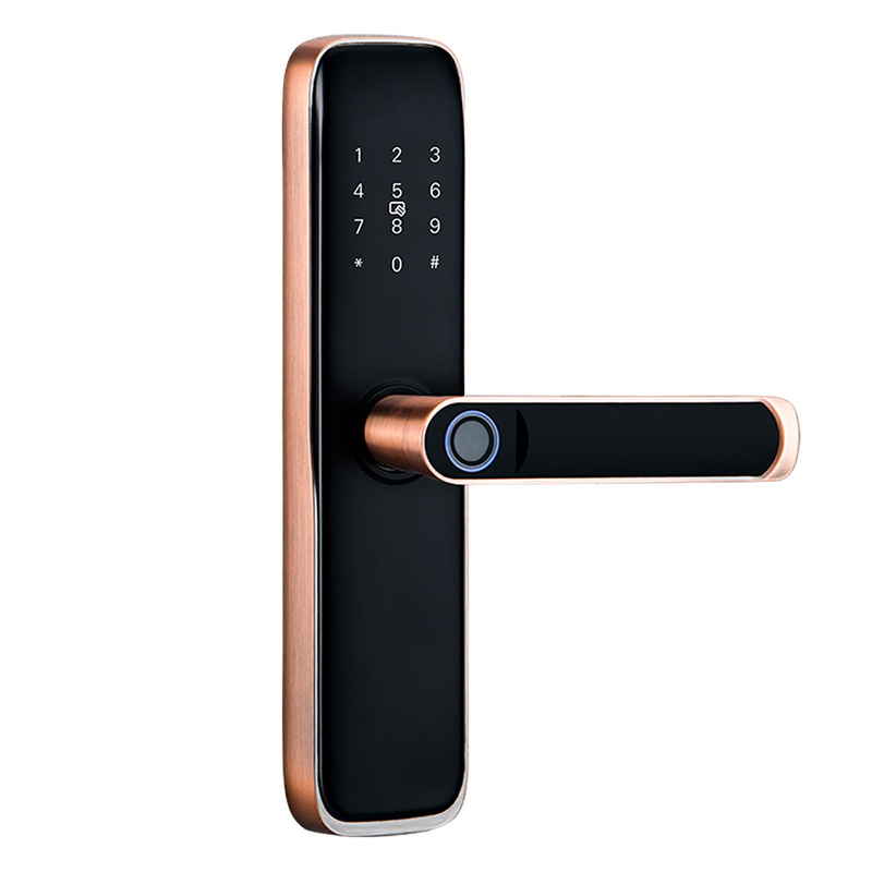 Smart home password electronic door lock