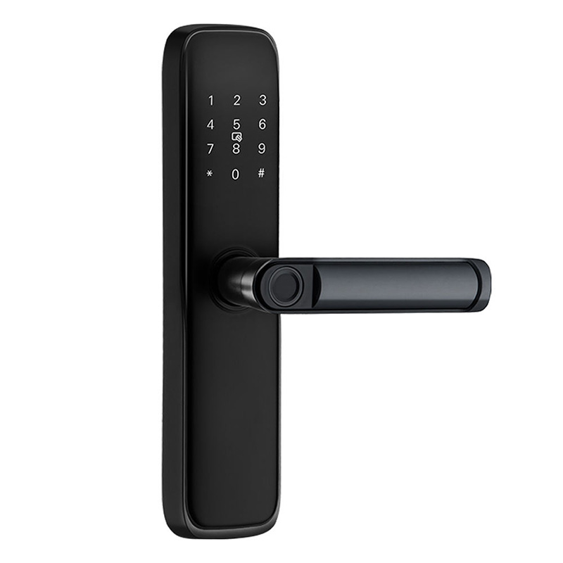 Smart home password electronic door lock