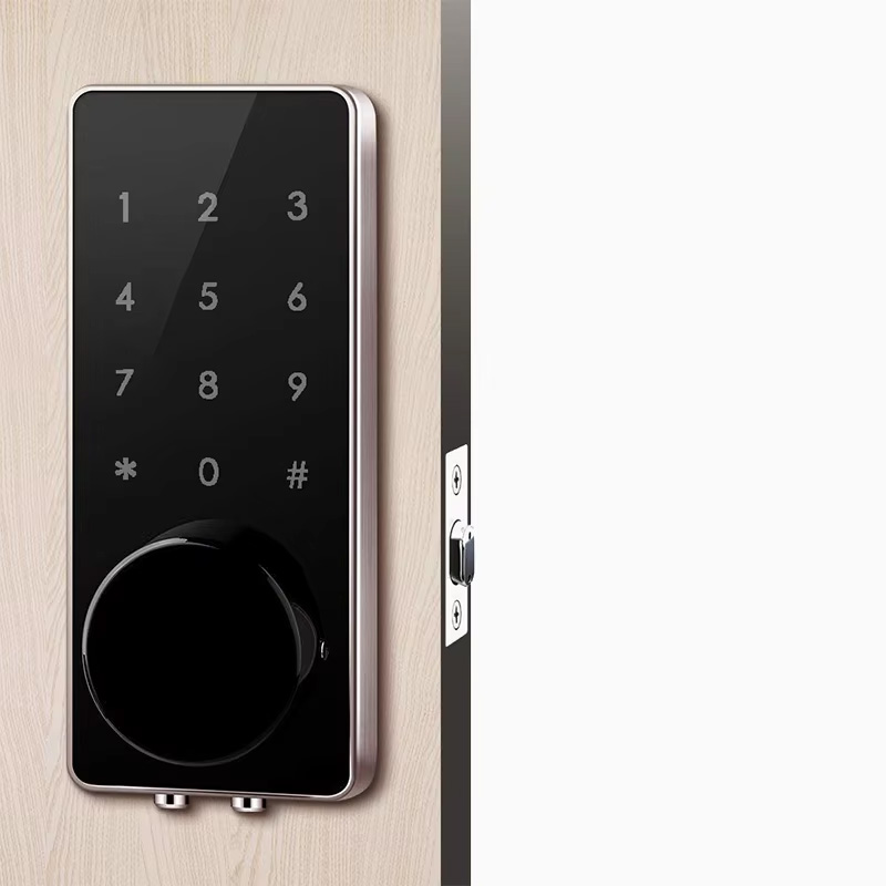 Touchscreen password electronic door lock