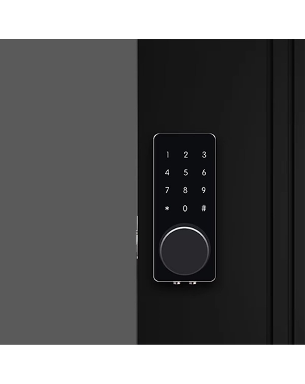 Touchscreen password electronic door lock