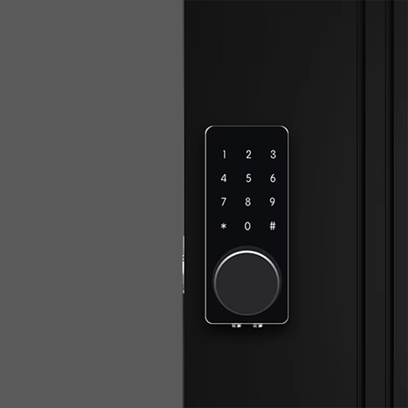 Touchscreen password electronic door lock