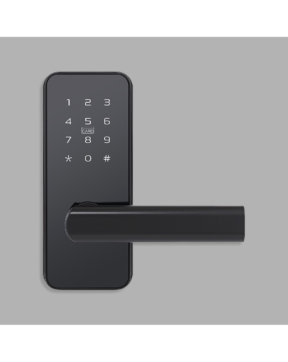 Matte black electronic password door lock