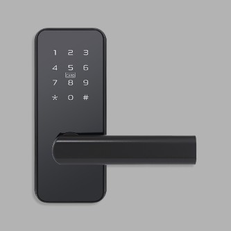 Matte black electronic password door lock