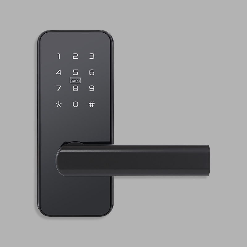 Matte black electronic password door lock