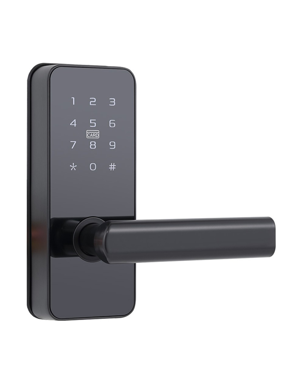 Matte black electronic password door lock