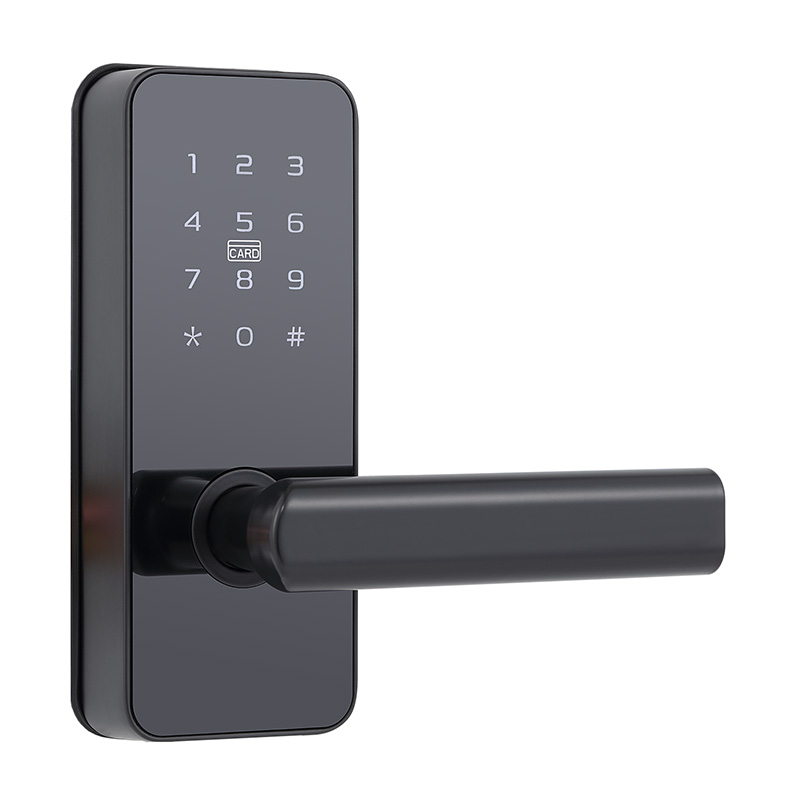 Matte black electronic password door lock