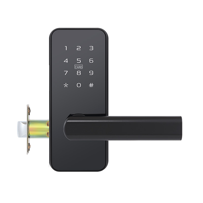 Matte black electronic password door lock