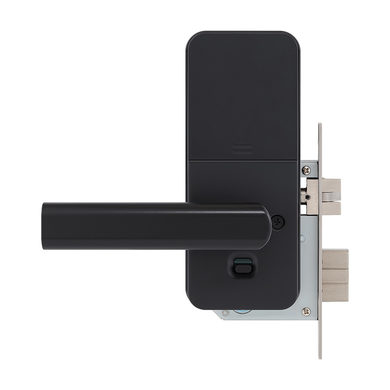 Matte black electronic password door lock