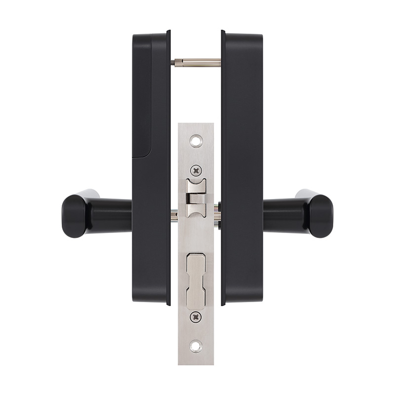Matte black electronic password door lock