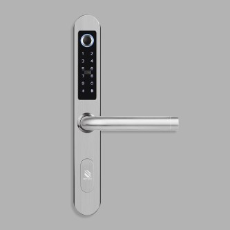 Silver smart password electronic door lock