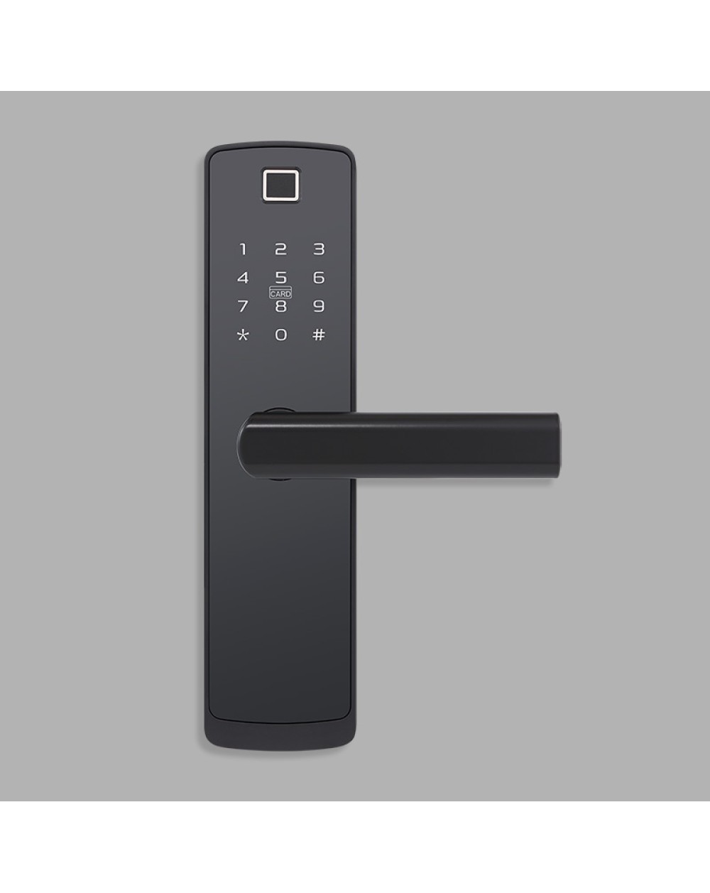 Classic and simple password-based electronic door lock