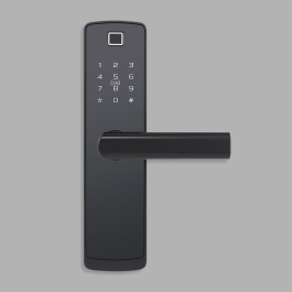 Classic and simple password-based electronic door lock