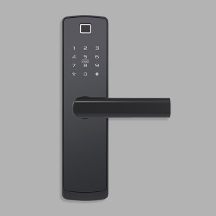 Classic and simple password-based electronic door lock