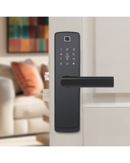 Classic and simple password-based electronic door lock
